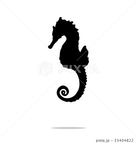 Seahorse Black Silhouette Aquatic Animalのイラスト素材