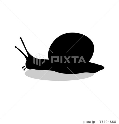 Snail mollusk shell black silhouette animal 33404888