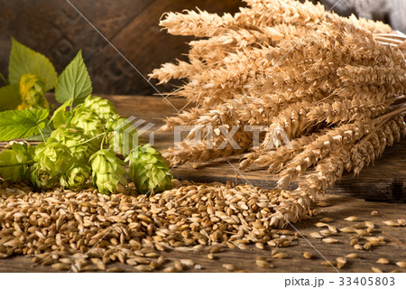 Hop Cones with Barley and Wheat on the Table. 33405803