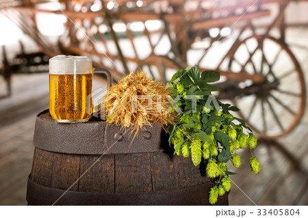 Glass of Beer with Barley and Hops in the Old Barn 33405804