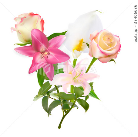 Vector Illustration with Pink Lily, Calla and 33406636