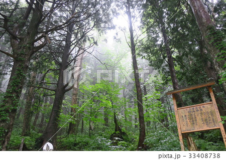 恐山 冷水周辺の森 青森県むつ市 の写真素材