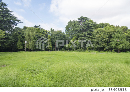 江古田の森公園の草っぱら広場（東京都中野区） 33408958