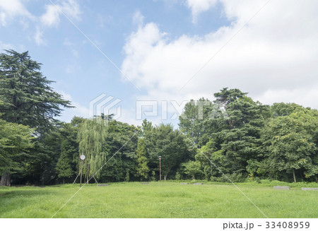江古田の森公園の草っぱら広場（東京都中野区） 33408959
