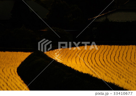 夕暮れの棚田 夕暮れの棚田 33410677