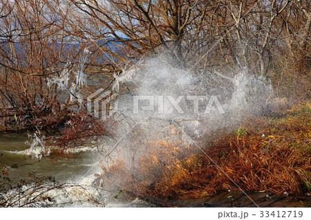 琵琶湖しぶき氷 琵琶湖しぶき氷 33412719