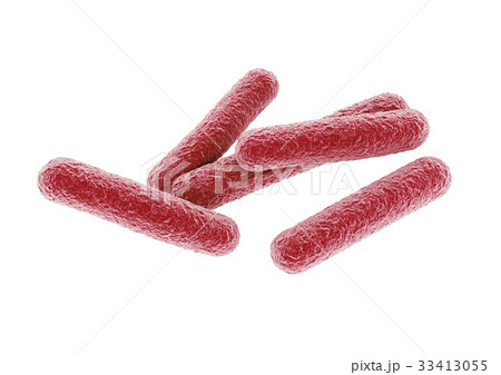 バクテリア　ウイルス 33413055