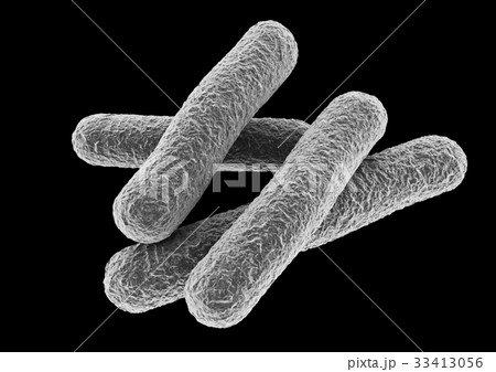 バクテリア　ウイルス 33413056