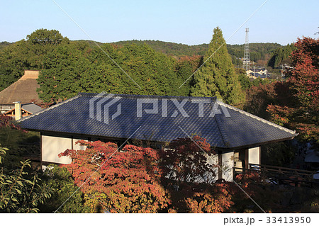 益子秋の陶器市にて 33413950