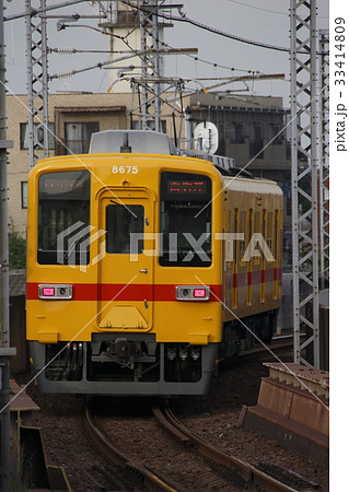 ［TS］東武大師線8000系電車（リバイバル塗装-黄色） 33414809