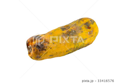 Rotten papaya isolate on white background Rotten papaya isolate on white background 33416576