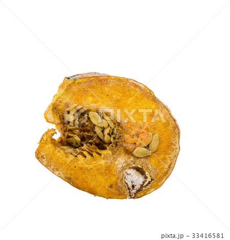 Rotten pumpkin isolated on white background. 33416581