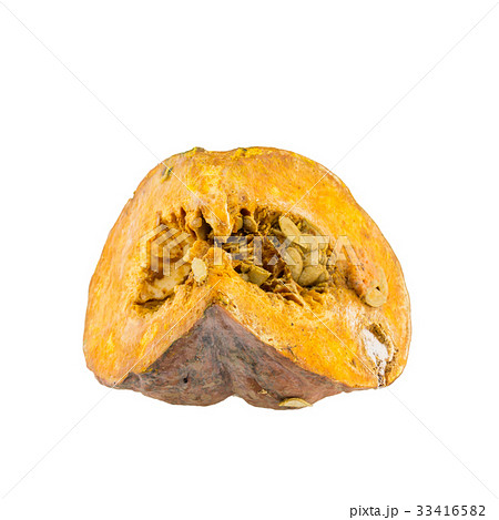 Rotten pumpkin isolated on white background. 33416582