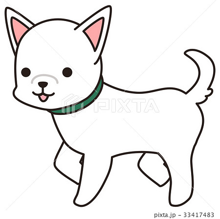 白い犬のイラスト素材