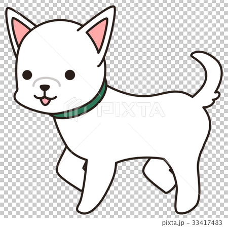 白い犬のイラスト素材