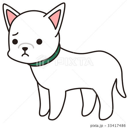 しょんぼり 困り顔の白い犬のイラスト素材