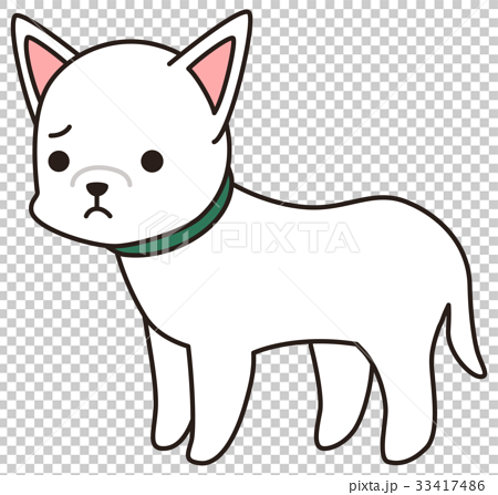 しょんぼり 困り顔の白い犬のイラスト素材