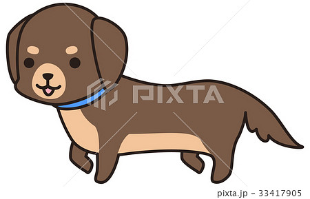 茶色い小型犬 ミニチュアダックスフンド のイラスト素材