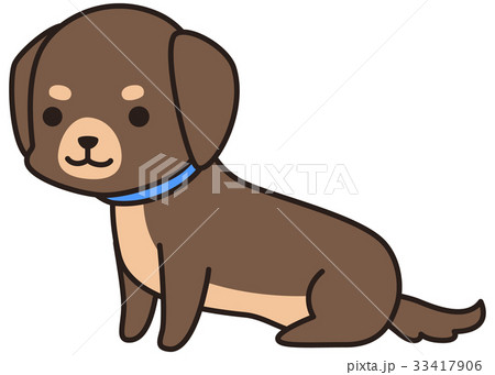 お座りする茶色い小型犬 ミニチュアダックスフンド のイラスト素材