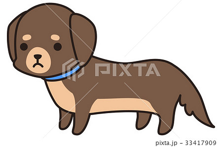 しょんぼりする茶色い小型犬 ミニチュアダックスフンド のイラスト素材