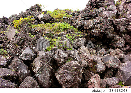 坪庭の景観(1) 坪庭の景観(1) 33418243