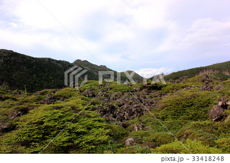 坪庭の景観(6) 坪庭の景観(6) 33418248