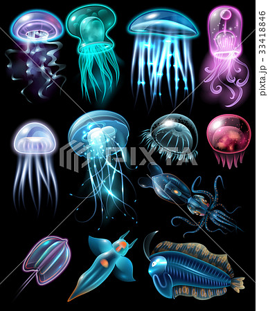 Underwater Animals Icon Set Underwater Animals Icon Set 33418846