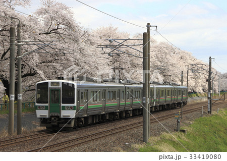 一目千本桜を行く東北本線719系（仙台地区） 33419080
