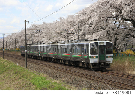 一目千本桜を行く東北本線719系（仙台地区） 33419081