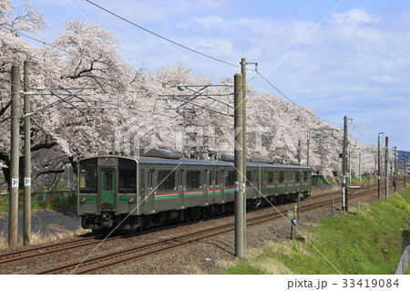 白石川堤一目千本桜を行く東北本線701系(仙台地区) 白石川堤一目千本桜を行く東北本線701系(仙台地区) 33419084