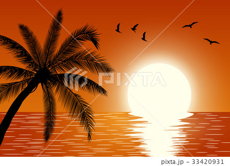 Sunset. Summer Sunset Landscape. 33420931