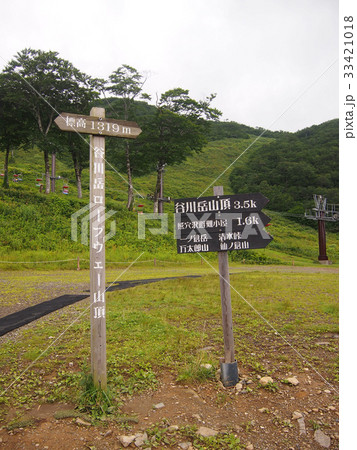 夏の谷川岳天神平 33421018