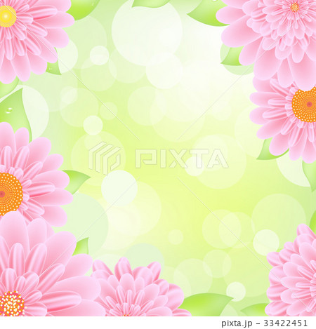 Pink Gerbers Border Pink Gerbers Border 33422451