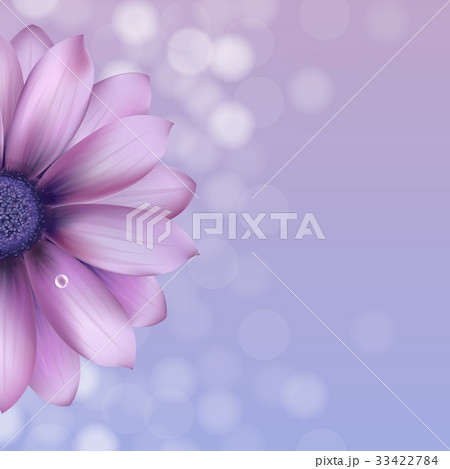 Lilac Gerber With Water Drop Lilac Gerber With Water Drop 33422784