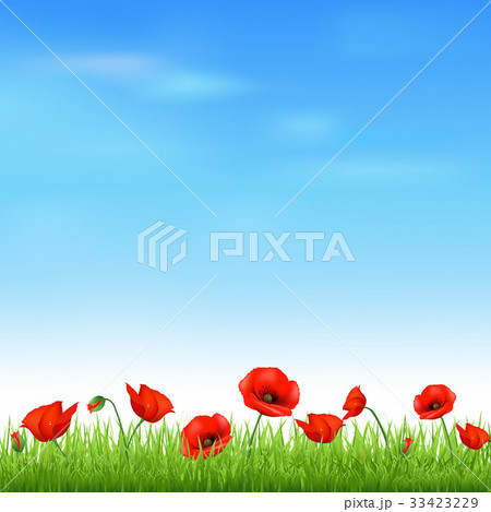 Landscape With Grass And Poppy 33423229
