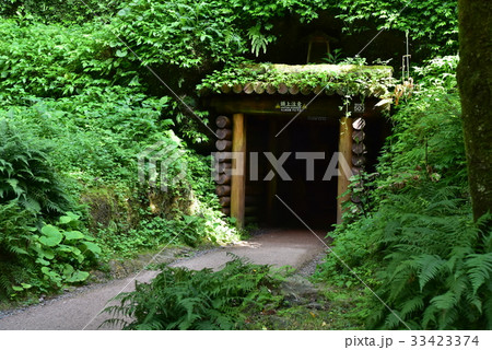 【世界遺産 石見銀山遺跡とその文化的景観】石見銀山 緑に囲まれた龍源寺間歩の入口 島根県大田市 【世界遺産 石見銀山遺跡とその文化的景観】石見銀山 緑に囲まれた龍源寺間歩の入口 島根県大田市 33423374