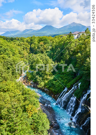 美瑛白金の白ひげの滝 33424506