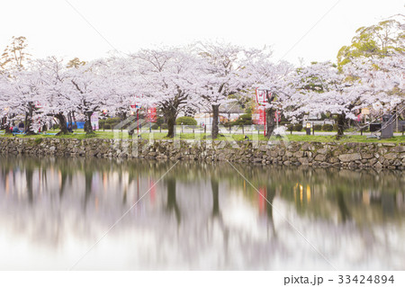 Cherry Blossom Reflexes 33424894