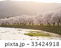 Cherry Blossom Sunrise River 33424918