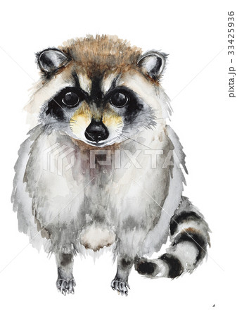 Hand Drawn Raccoonのイラスト素材