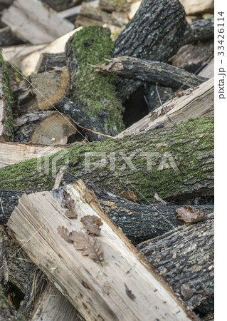 Pile of wooden logs as a background 33426114