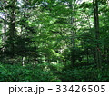 自然 33426505