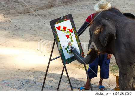 Elephant is painting by oil color  33426850