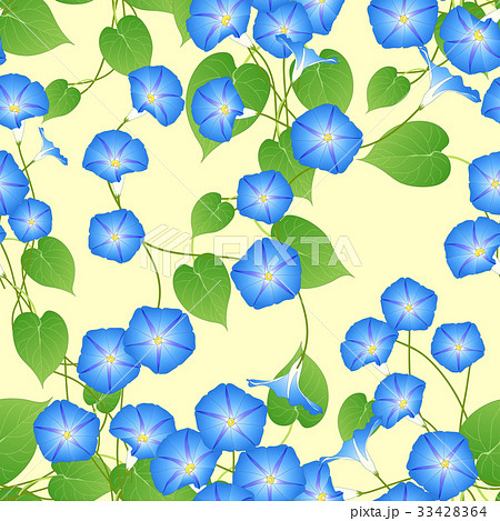 Blue Morning Glory on Ivory Beige Background.  33428364