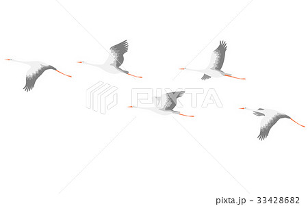 Flying Stork Flock 33428682