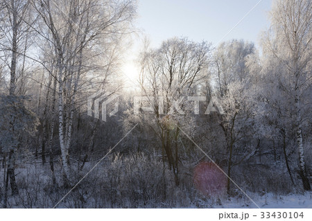 Winter landscape, close-up 33430104