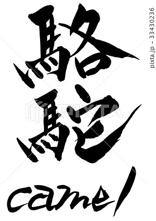 筆文字　駱駝　camel 33430236