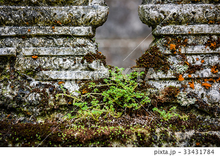 Ancient red brick wall with moss as a background 33431784