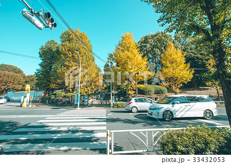 View of Yoyogi park in autumn season 33432053