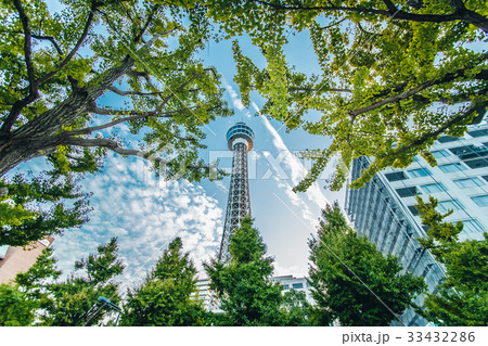Street view from Ginkgo tree, Yokohama Marin Tower 33432286